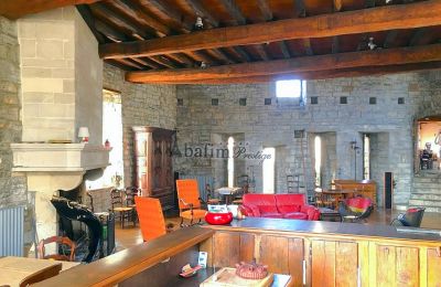 Historisk villa til salg Sauveterre-de-Béarn, Nouvelle-Aquitaine, Billede 5/20