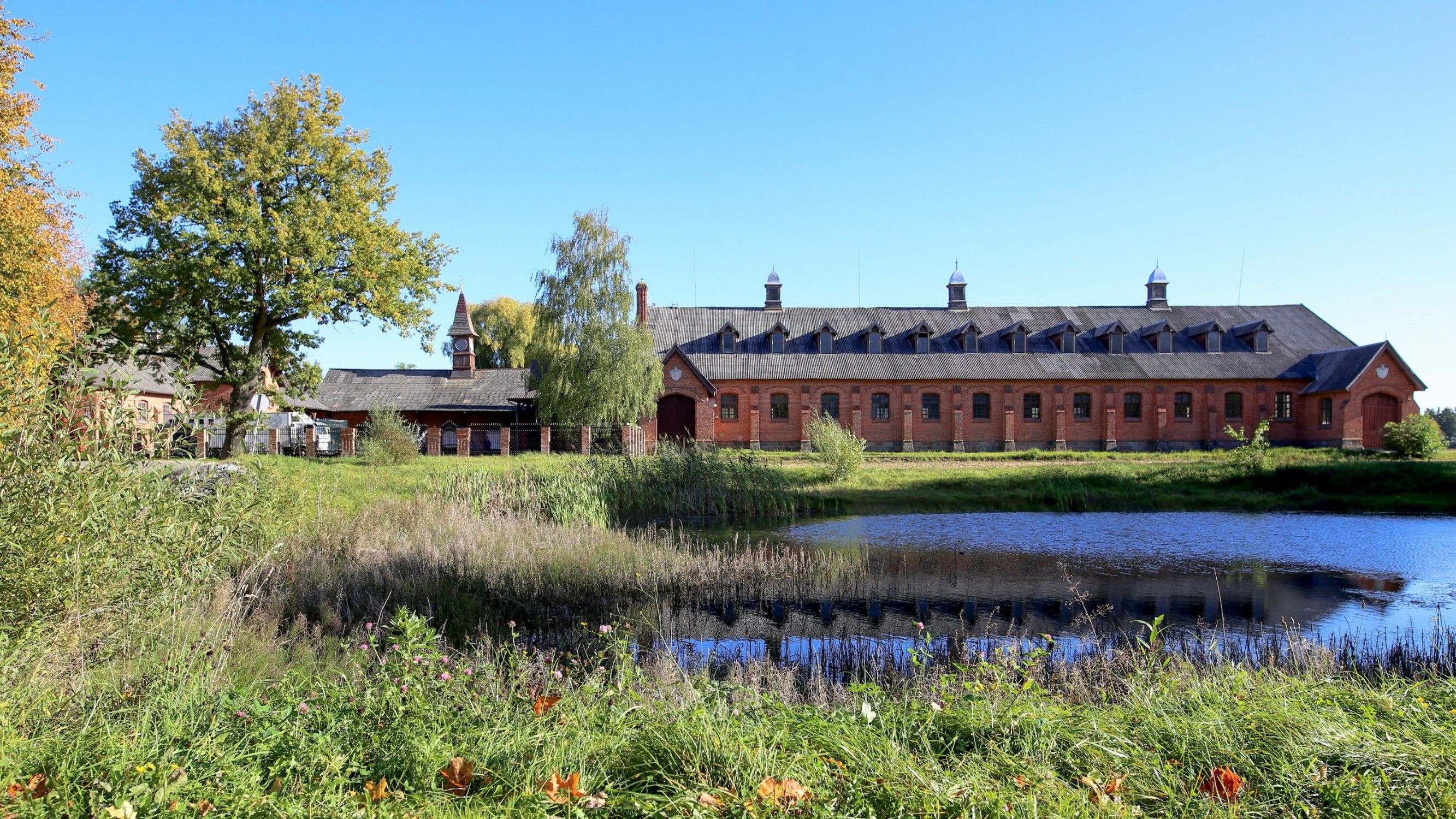 Billeder Historisk stutteri i Žagarė, Litauen