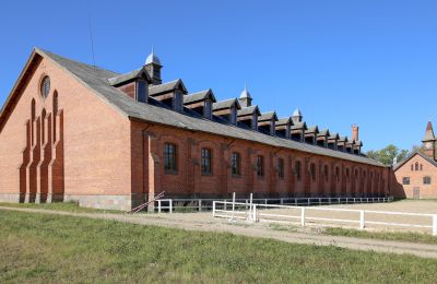 Historisk ejendom til salg Žagariškiai, Šiaulių apskritis, Billede 11/37