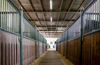 Historisk ejendom til salg Žagariškiai, Šiaulių apskritis, Hestebokse