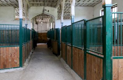 Historisk ejendom til salg Žagariškiai, Šiaulių apskritis, Hestebokse
