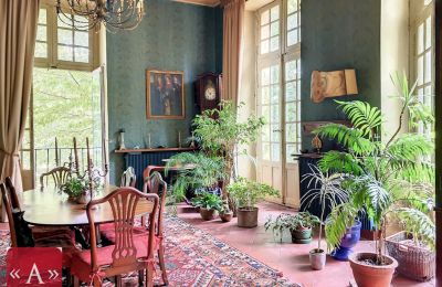 Historisk villa til salg Rabastens, Occitanie, Billede 5/18