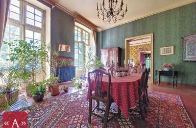 Historisk villa til salg Rabastens, Occitanie, Billede 9/18
