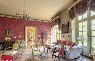 Historisk villa til salg Rabastens, Occitanie, Billede 4/18
