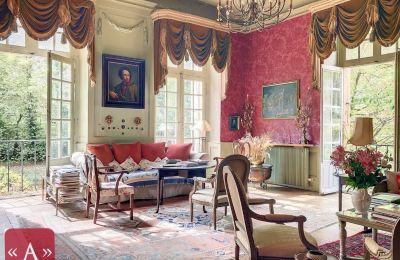 Historisk villa til salg Rabastens, Occitanie, Billede 2/18