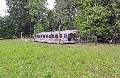 Herregård til salg Dawidy, Dwór w Dawidach, województwo warmińsko-mazurskie, Park