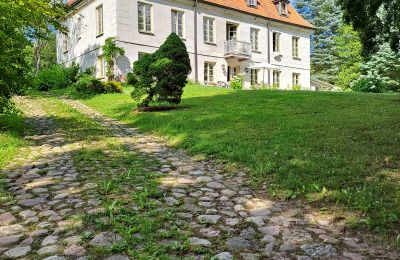Herregård til salg Dawidy, Dwór w Dawidach, województwo warmińsko-mazurskie, Bagudvendt