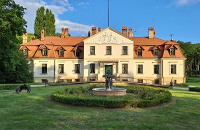Herregård til salg Dawidy, Dwór w Dawidach, województwo warmińsko-mazurskie, Neighborhood: Kadyny