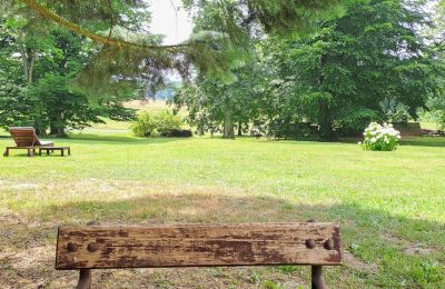 Herregård til salg Dawidy, Dwór w Dawidach, województwo warmińsko-mazurskie, Park