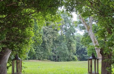 Herregård til salg Dawidy, Dwór w Dawidach, województwo warmińsko-mazurskie, Park
