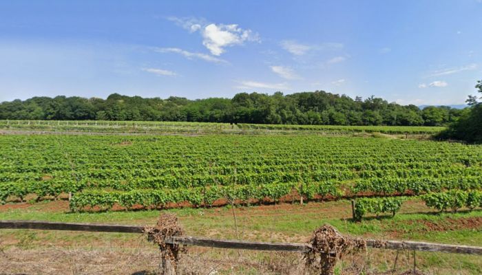  Friuli Venezia Giulia 4