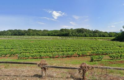Slot til salg Italien, Billede 4/25
