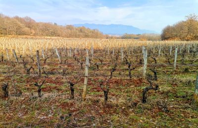 Slot til salg Italien, Billede 19/25