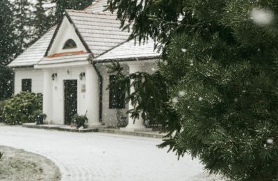 Herregård til salg województwo mazowieckie, Billede 6/14