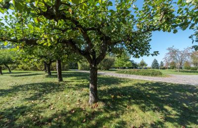 Herrgård till salu Trębki Nowe, województwo mazowieckie, Bild 25/35