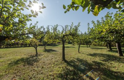 Herrgård till salu Trębki Nowe, województwo mazowieckie, Bild 26/35