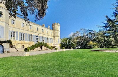 Herregård til salg Saint-Sulpice-la-Pointe, Occitanie, Bagudvendt