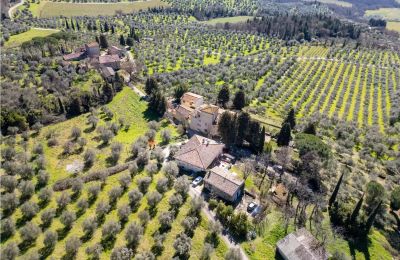 Landsted til salgs Pontassieve, Toscana, Bilde 40/42