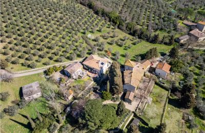 Landsted til salgs Pontassieve, Toscana, Bilde 42/42