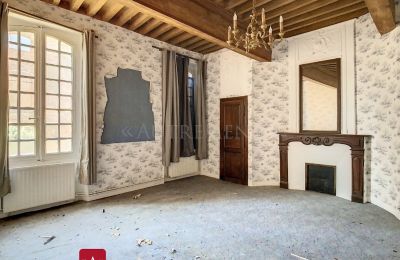 Historisk ejendom til salg Bessières, Occitanie, Salon
