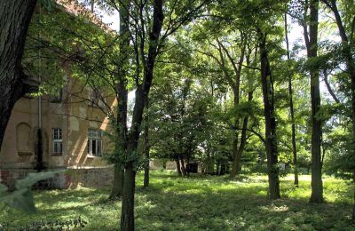 Herregård til salg Udanin, Główna, województwo dolnośląskie, Park