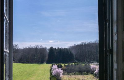 Slot til salg Loches, Centre-Val de Loire, Udsigt