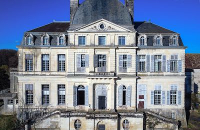 Slot til salg Loches, Centre-Val de Loire, Forside