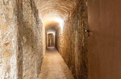 Historisk villa til salg Longone al Segrino, Lombardiet, Billede 35/37