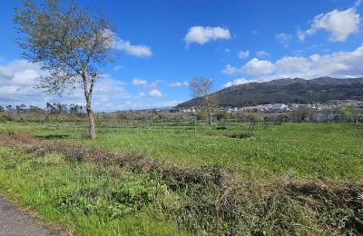 Herrgård til salgs 36740 Tomiño, Galicien, Bilde 16/28