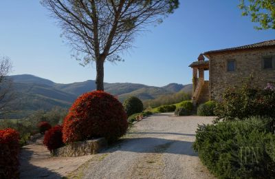 Landhus til salg 06019 Umbertide, Umbria, Billede 7/50