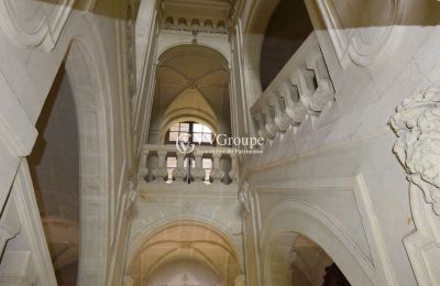 Slot til salg Thouars, Nouvelle-Aquitaine, Billede 4/14