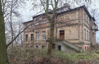 Herregård til salg Parsko, Pałac w Parsku, województwo wielkopolskie, Billede 14/16