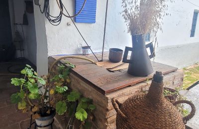 Bypalæ til salg Almagro, Castilla-La Mancha, Detaljer