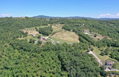 Landhus til salg 06060 Lisciano Niccone, Umbria, Billede 21/48