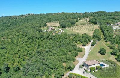 Landhus til salg 06060 Lisciano Niccone, Umbria, Billede 20/48