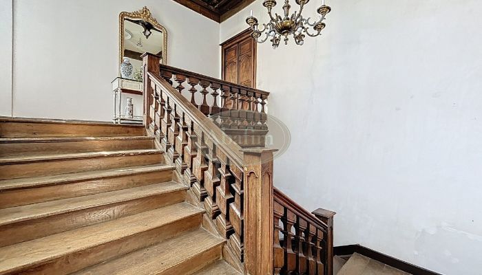  Tournay 5