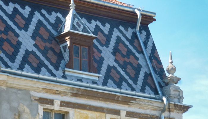  Tyńczyk Legnicki 5