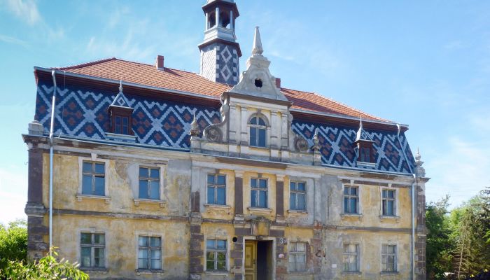  Tyńczyk Legnicki 2