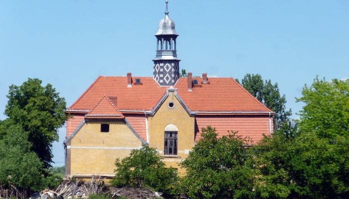  Tyńczyk Legnicki 1