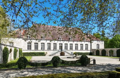 Herregård til salg Chaumont, Grand-Est, Have