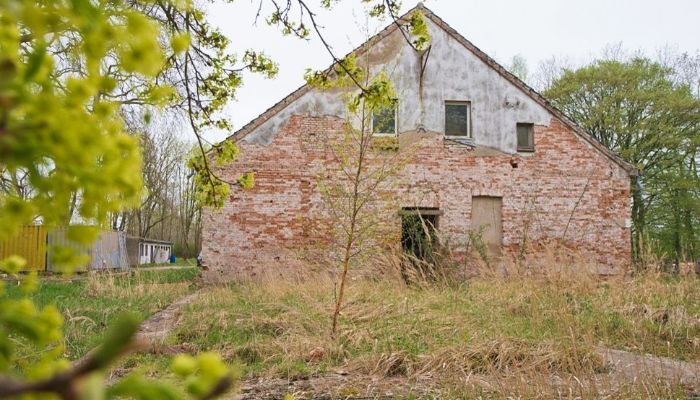 Herregård til salg 17498 Mesekenhagen, Mecklenburg-Vorpommern,  Tyskland