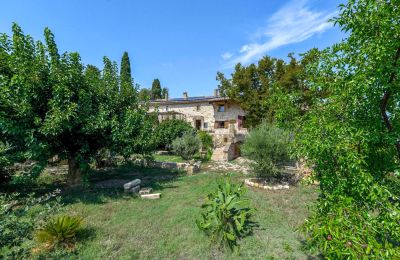 Historisk ejendom til salg Uzès, Occitanie, Have