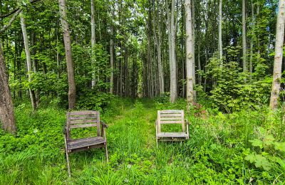 Borg til salg 18513 Glewitz, Mecklenburg-Vorpommern, Wald / Außenbereich