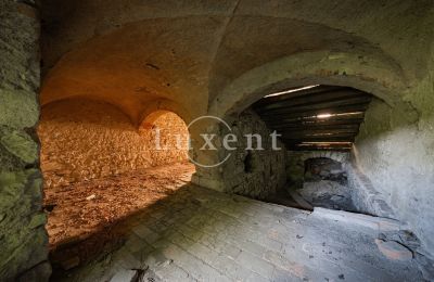 Schloss kaufen Vršovice, Zámek Vršovice, Ústecký kraj, Foto 12/35