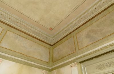 Herregård til salg 23881 Niendorf / Stecknitz, Schleswig-Holstein, Detaljer