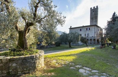 Burg kaufen Croci di Calenzano, Toskana, Garten