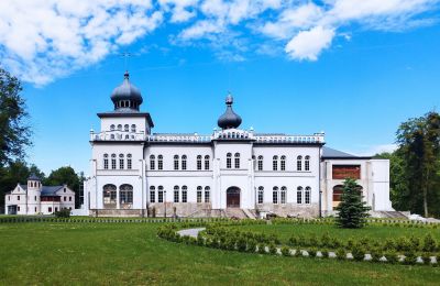 Slot til salg Osiek, Pałac w Osieku, województwo małopolskie, Udvendig visning