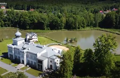 Slot til salg Osiek, Pałac w Osieku, województwo małopolskie, Billede 38/38