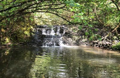Schloss kaufen Pontacq, Neu-Aquitanien, Grundstück
