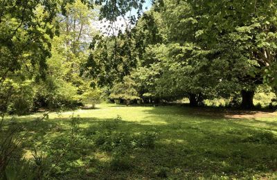 Schloss kaufen Pontacq, Neu-Aquitanien, Park
